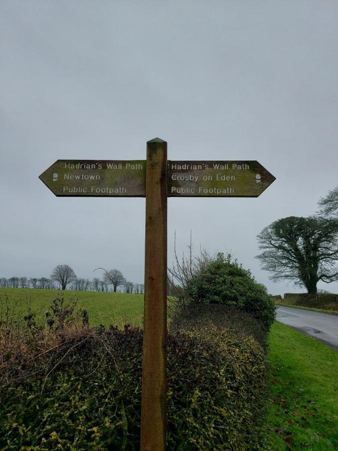 Hadrians Wall Studio 칼라일 외부 사진